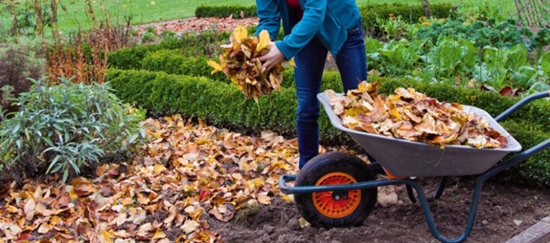 Regionale publiekspeiling over gevolgen klimaatverandering
