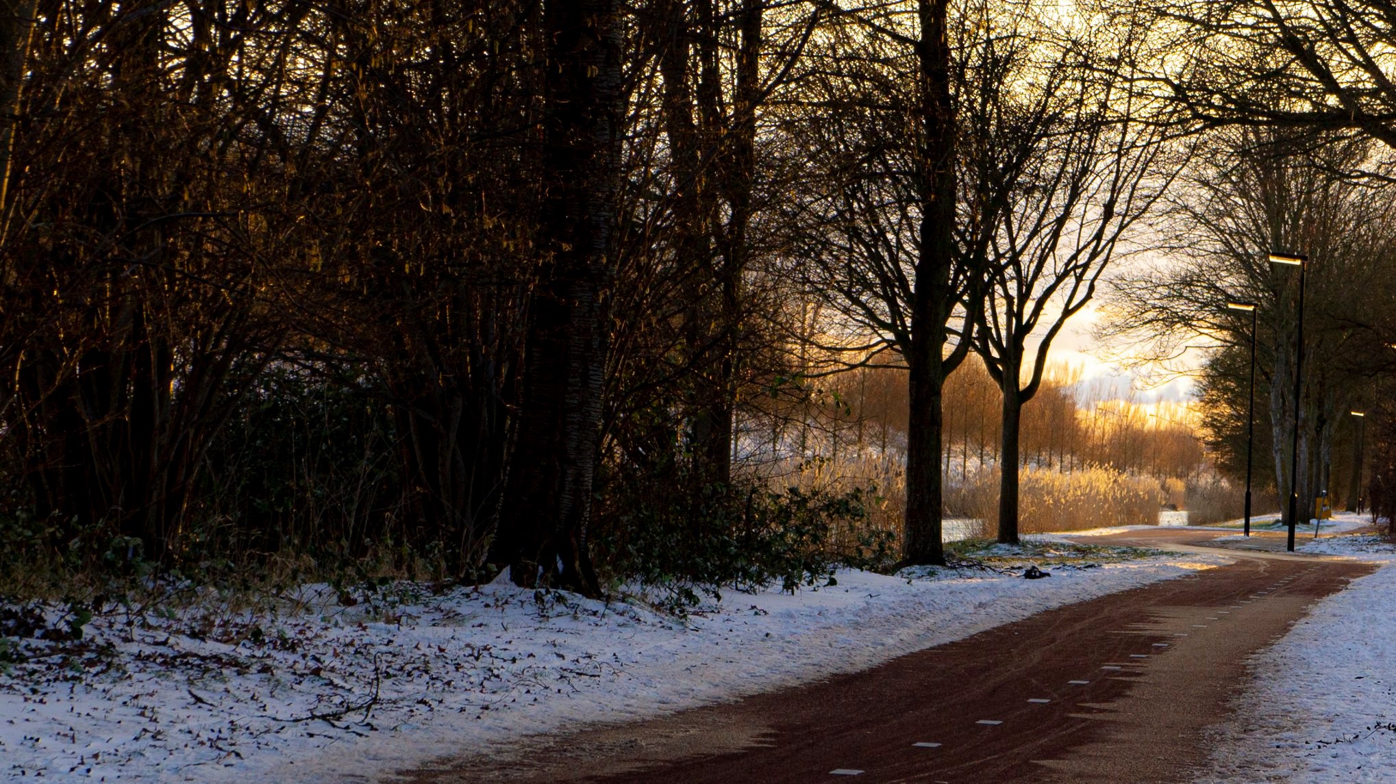 148856589_4987336774671347_2742346255431187444_o