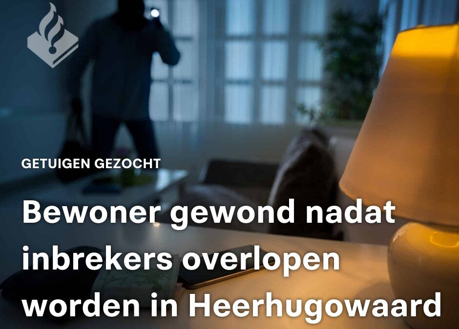 GETUIGEN GEZOCHT: WORSTELING NADAT INBREKERS WORDEN OVERLOPEN