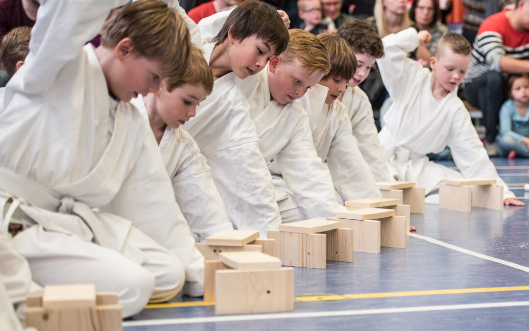 Karate voor Oekraïne