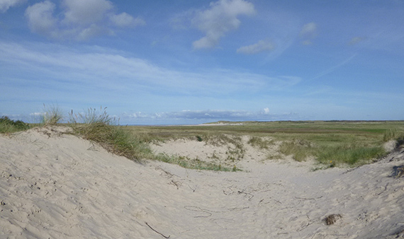 Noord-Hollands onderzoek PFAS bevestigt landelijke bevindingen
