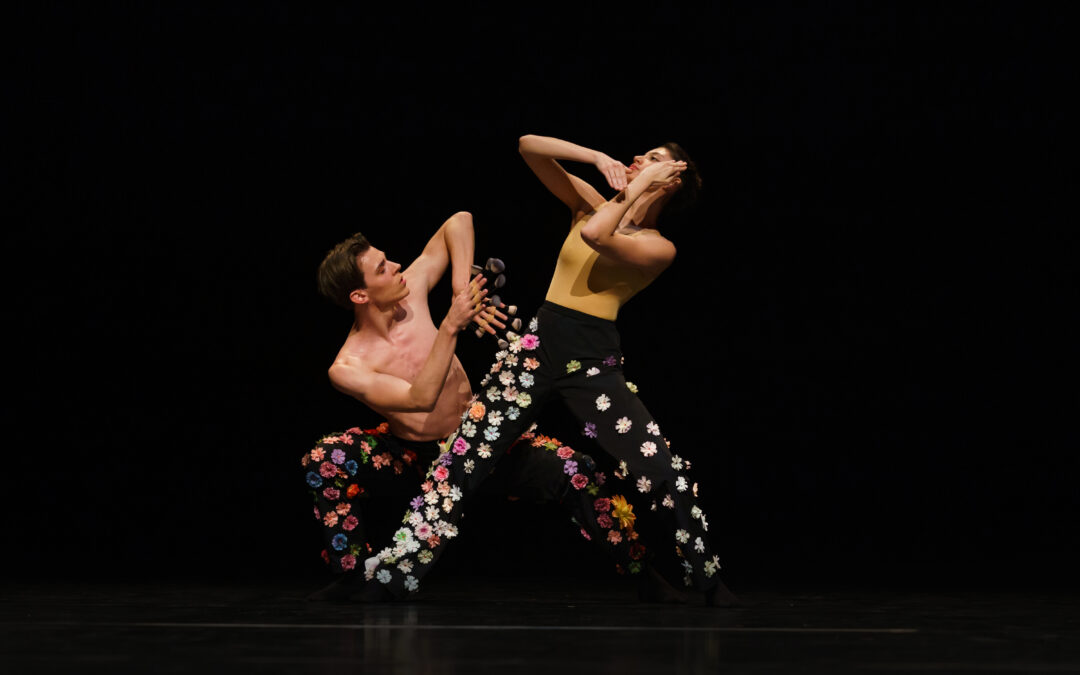 Holland Dance Festival toont veelzijdig danstalent bij Cool!