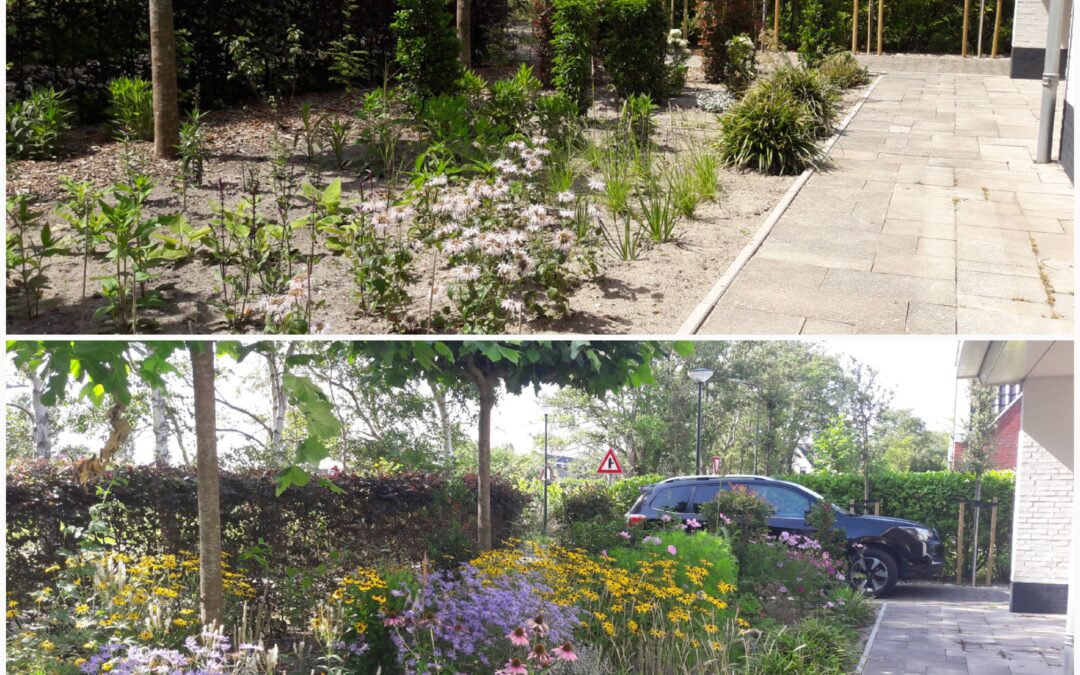 De nieuwe BioBorder Geur en Kleur: voor bijna elke tuin