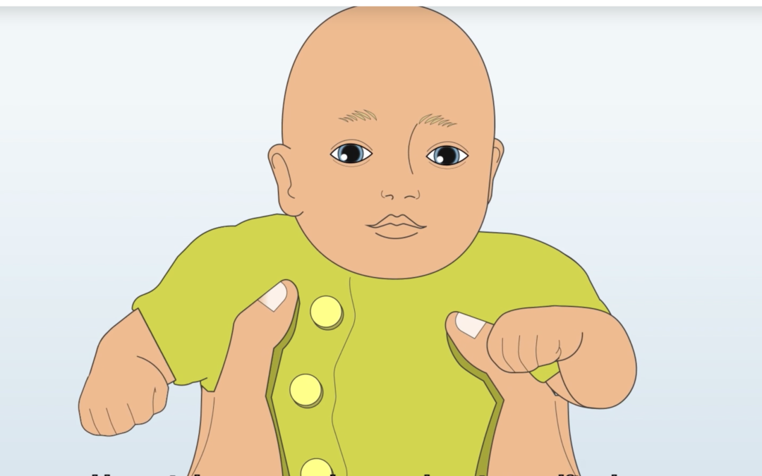 Hoera! Gemeente Dijk en Waard maakt e-diensten makkelijker!