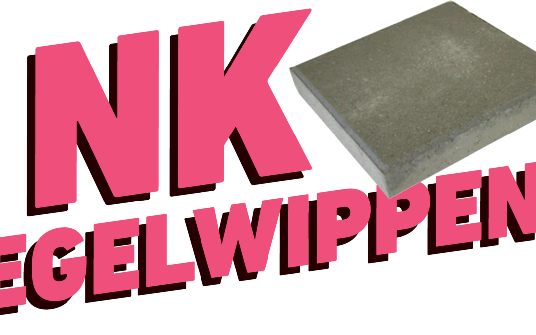 Gemeente Dijk en Waard wint zilver in het NK Tegelwippen