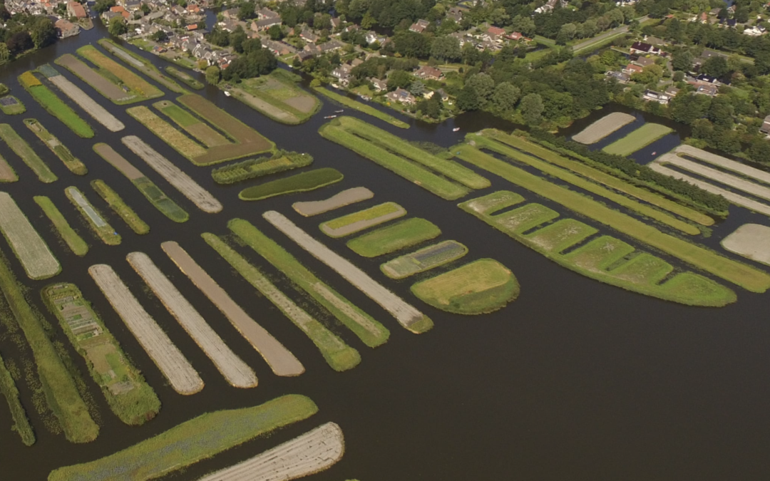 Onderhoud in Duizendeilandenrijk