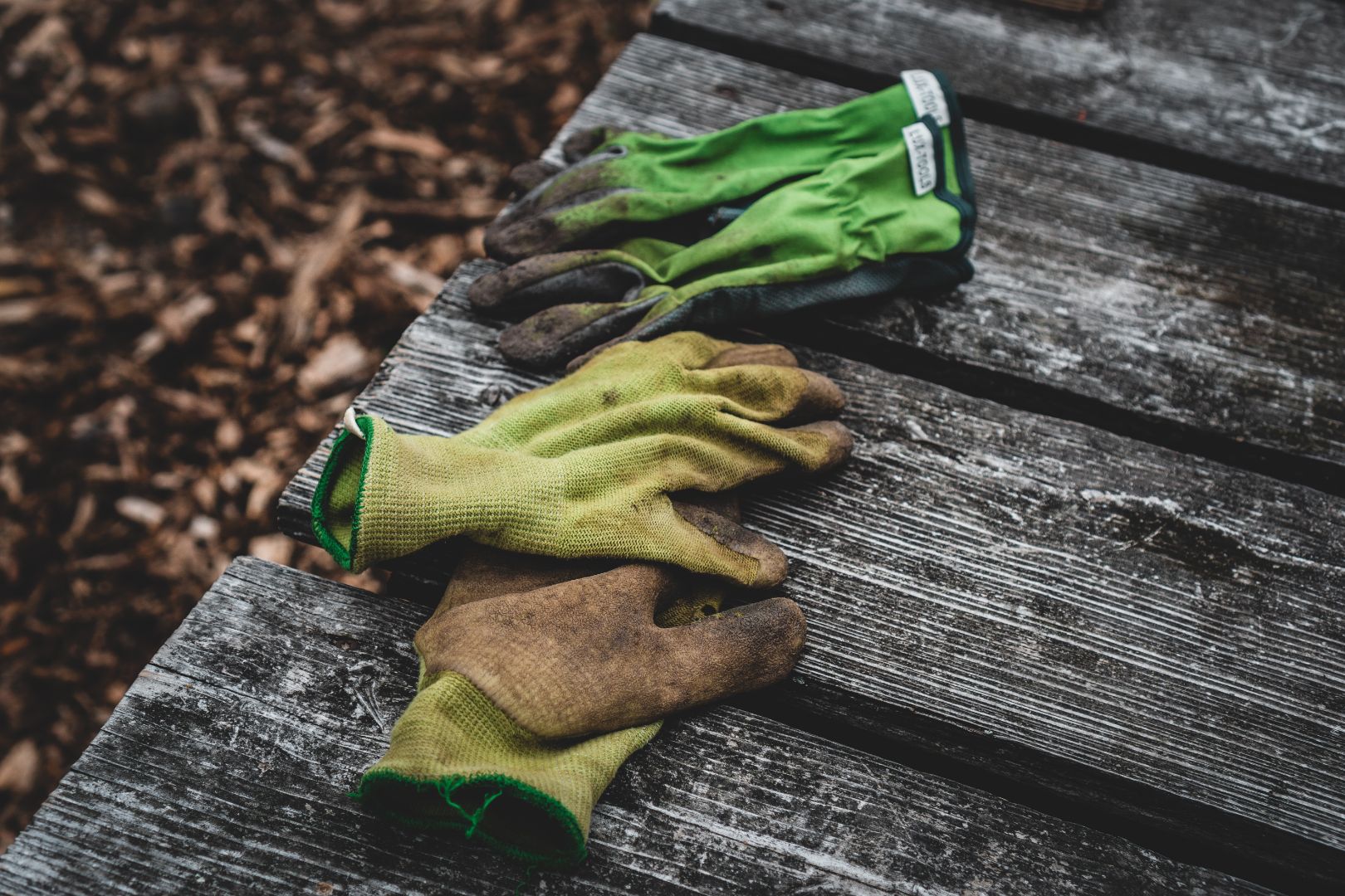 tuinieren-tuinhandschoenen-unsplash