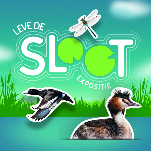 Expositie Leven de Sloot