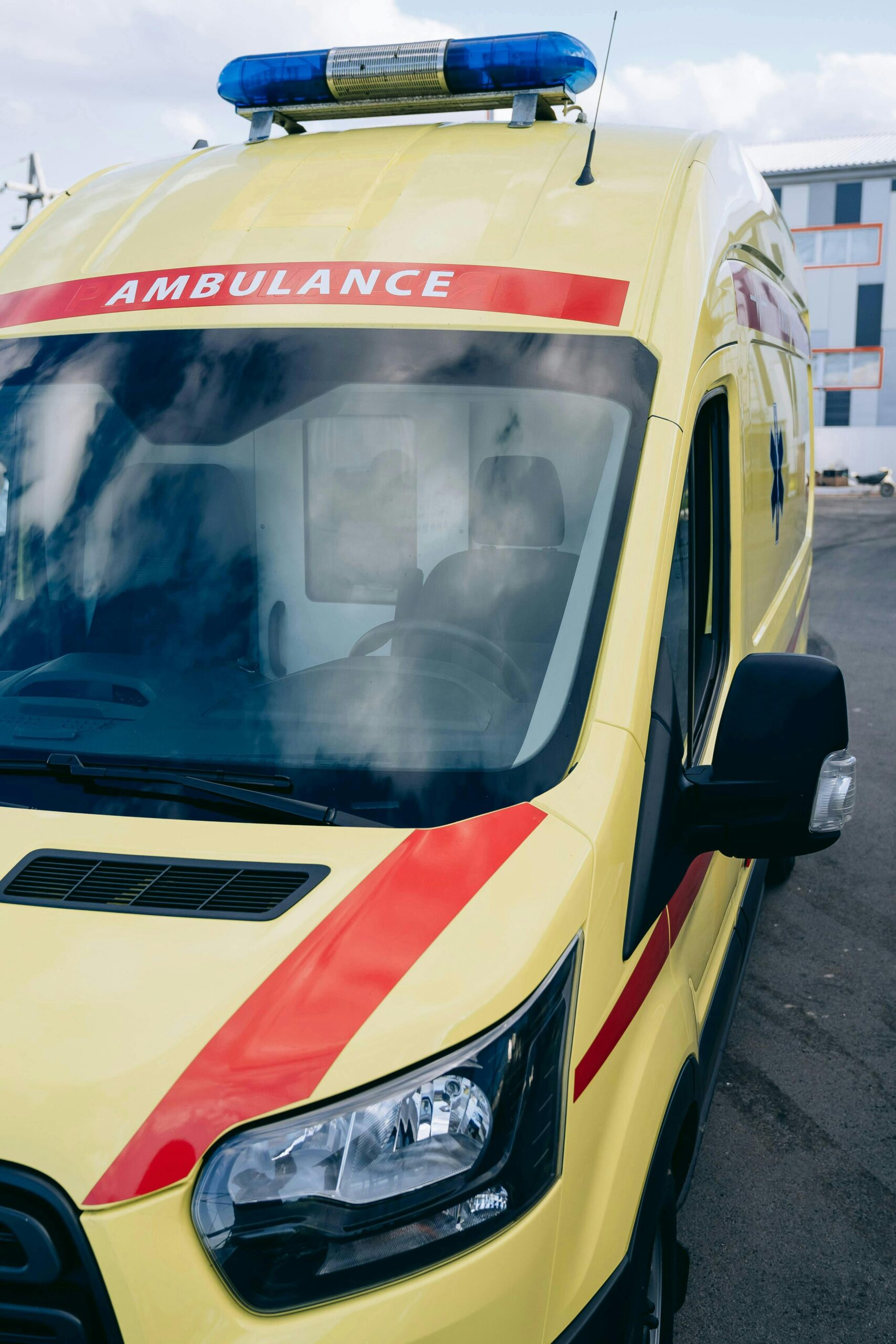 pexels-mikhail-nilov-28123775