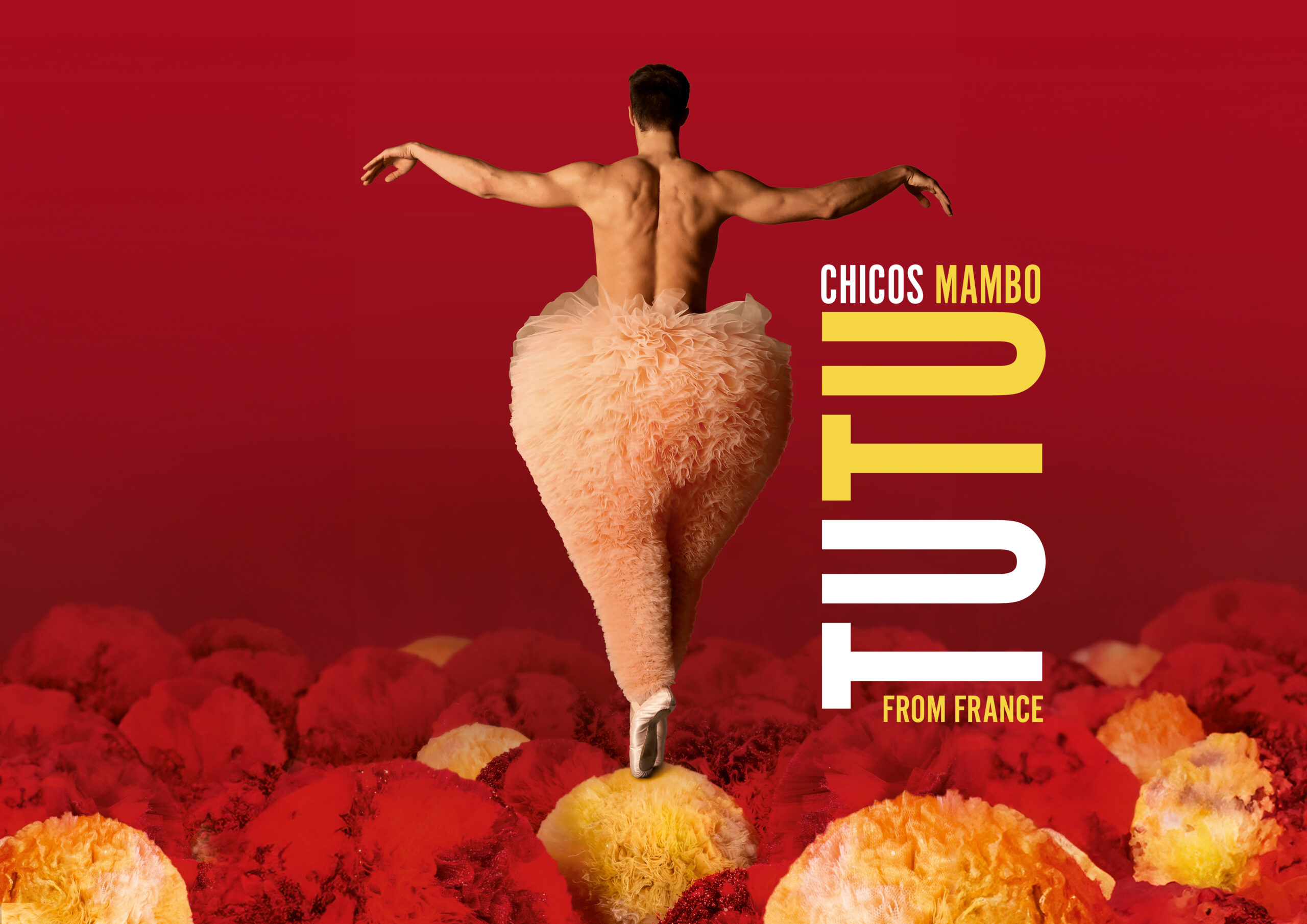 Chicos Mambo – TUTU (Michel Cavalca) 1
