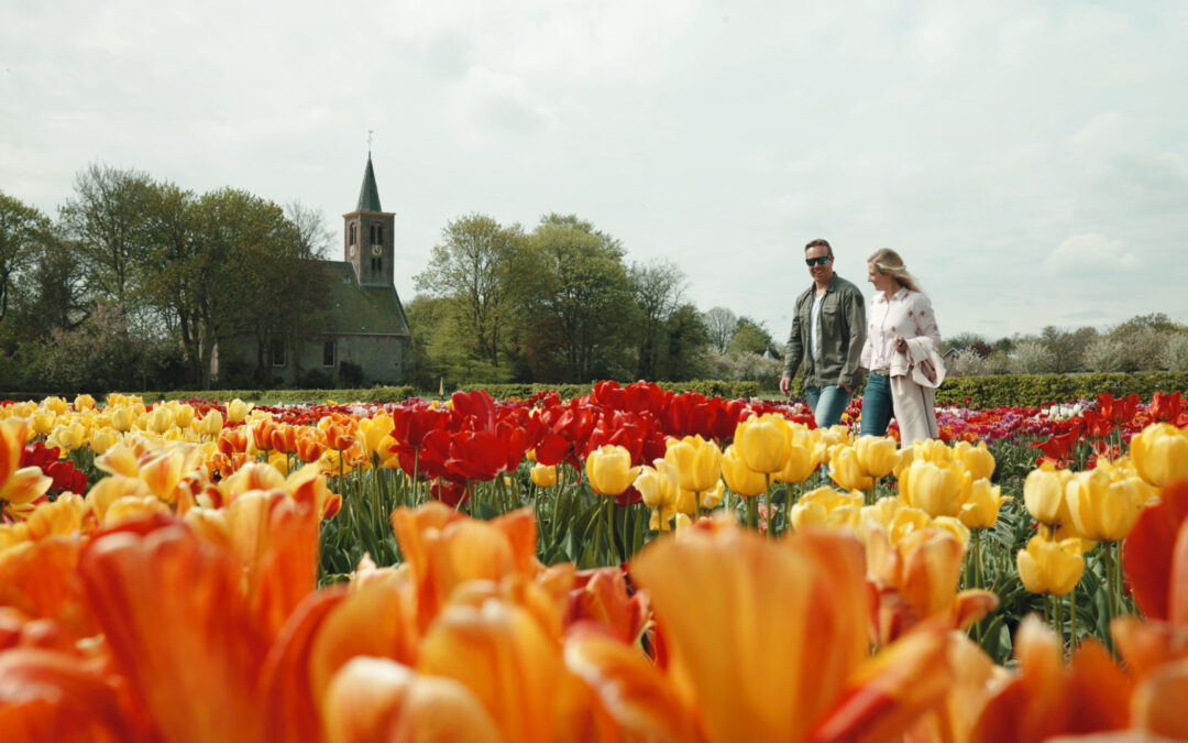 Hortus Bulborum LIMMEN