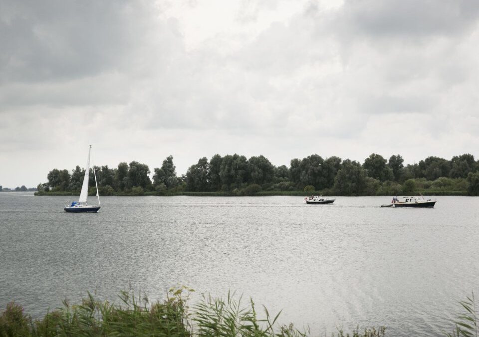 Aanleg luwtezone voor planten en dieren in het Eemmeer