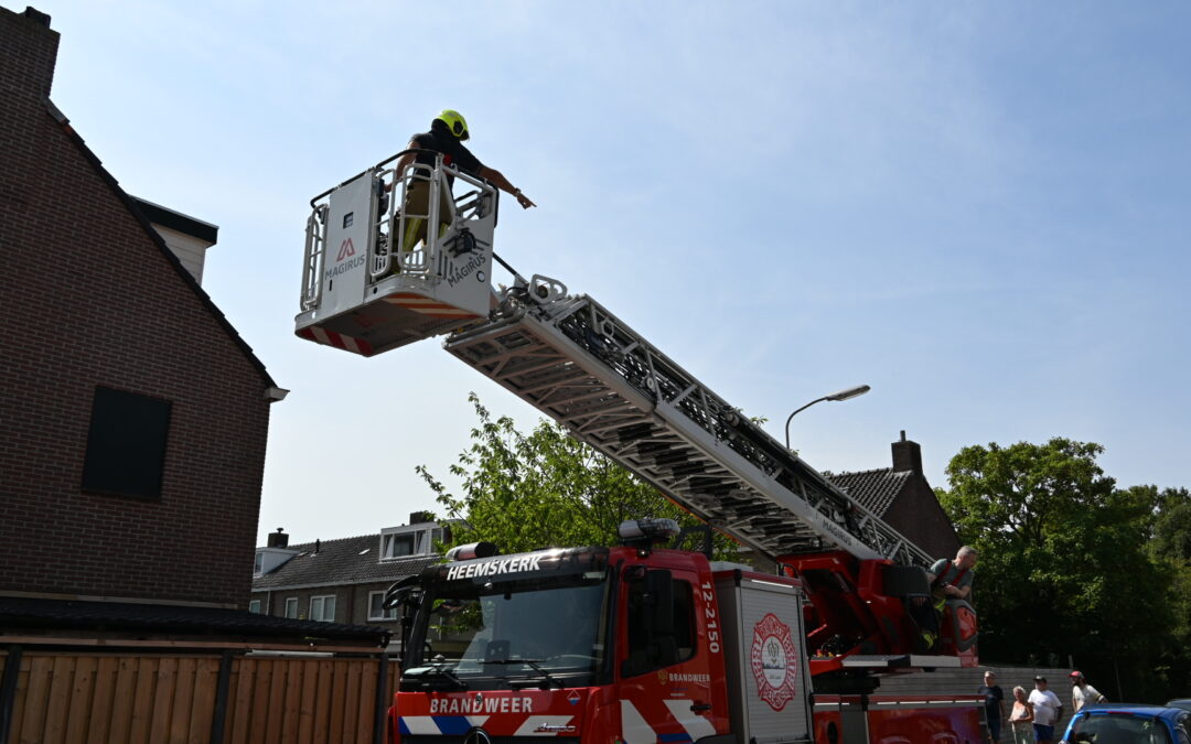 Kat vast tussen raam en hor in Heemskerk